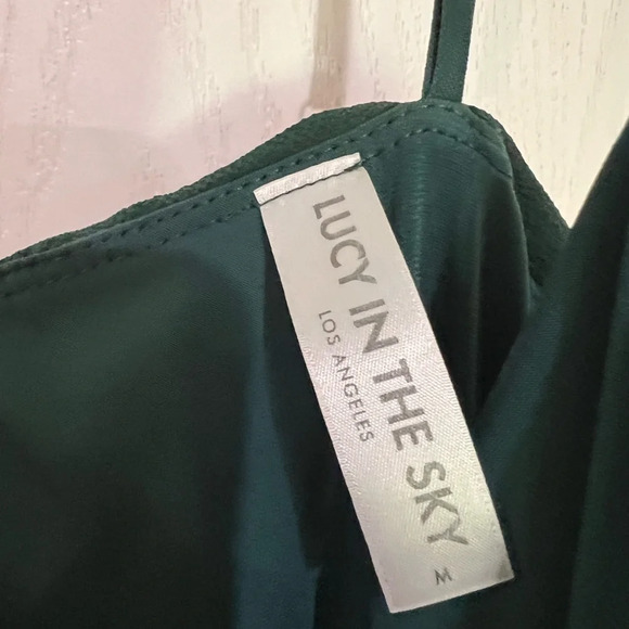 FINAL PRICE Ruched Bodycon Dress ( Great for Mardi Gras ) - Picture 4 of 9